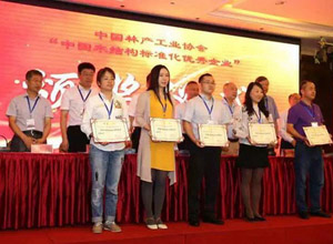 “中国木结构标准化优秀企业”颁奖典礼在漠河举行