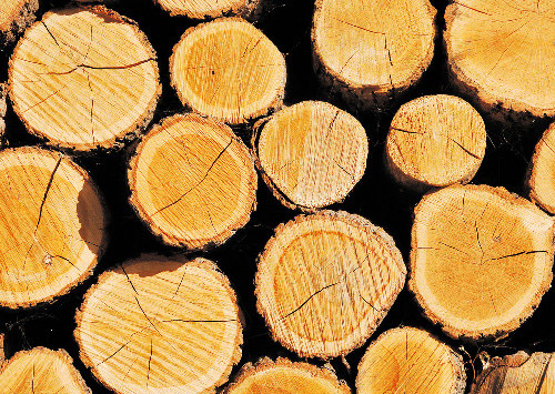 德州山东木材交易市场