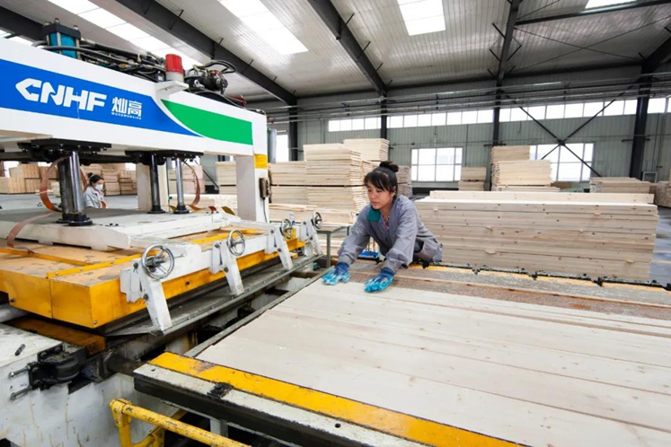 绥芬河木材加工贸易园区成功晋级“国家林业产业示范园区”